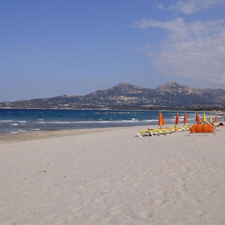 Appartement F1 Calvi A 150 Metres De La Plage 외부 사진