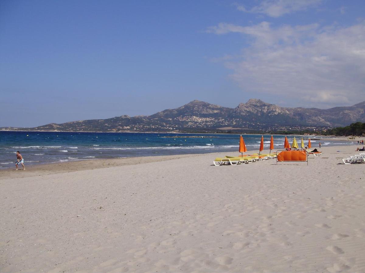 Appartement F1 Calvi A 150 Metres De La Plage 외부 사진