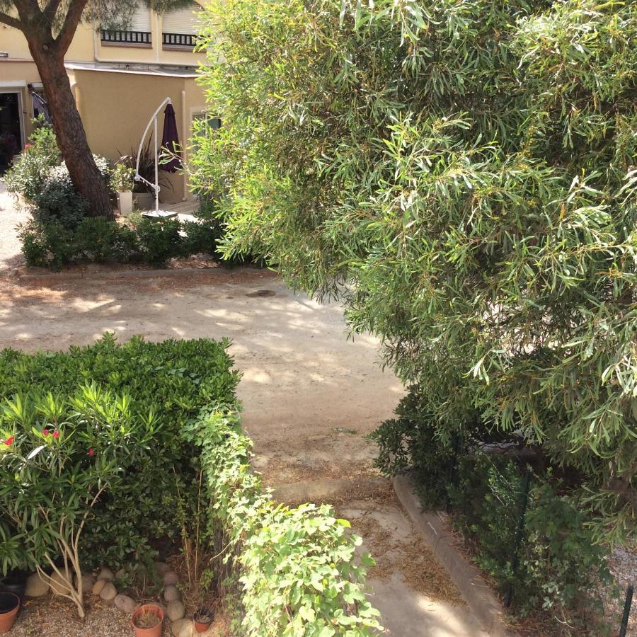 Appartement F1 Calvi A 150 Metres De La Plage 외부 사진